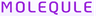 Molequle logo